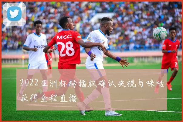 2022亚洲杯转播权确认央视与咪咕获得全程直播